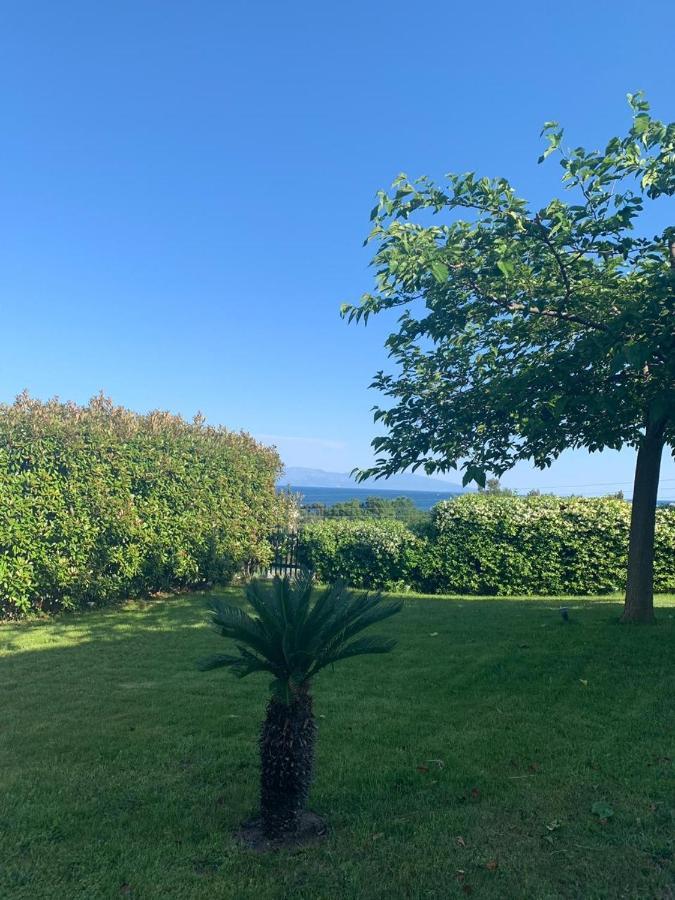 Aerides Luxury Villa PalaiónTsiflíkion 外观 照片