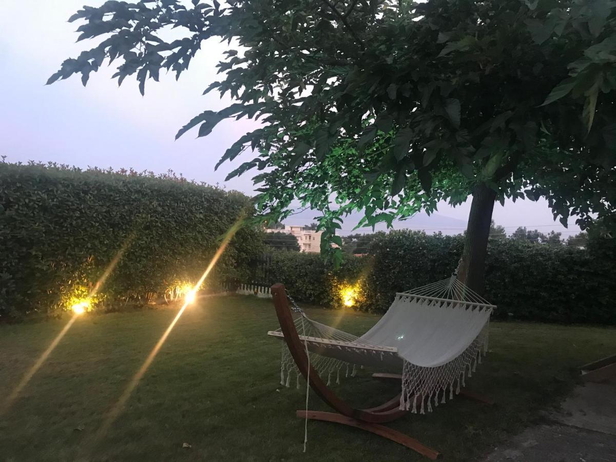 Aerides Luxury Villa PalaiónTsiflíkion 外观 照片