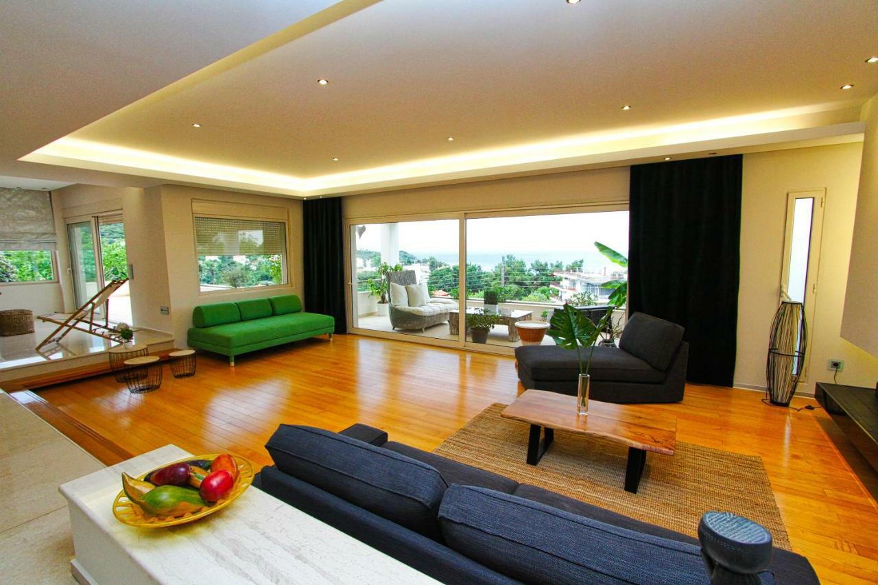 Aerides Luxury Villa PalaiónTsiflíkion 外观 照片