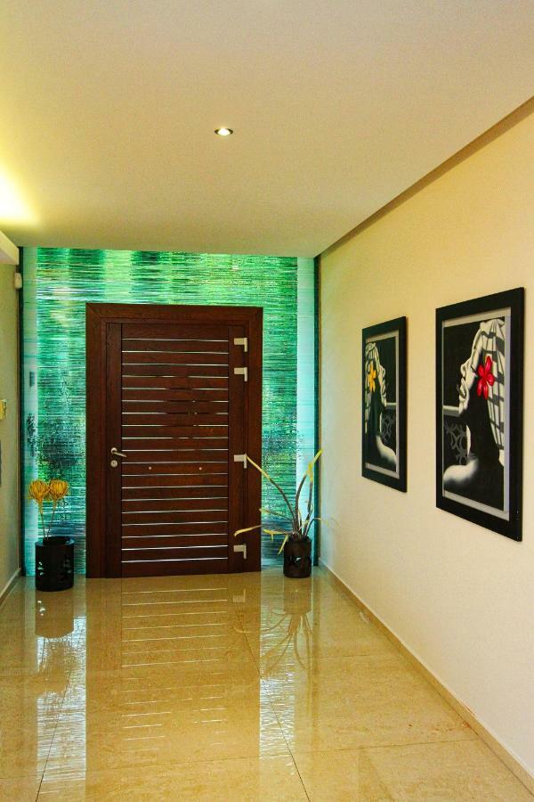Aerides Luxury Villa PalaiónTsiflíkion 外观 照片