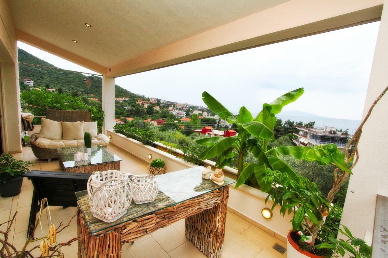 Aerides Luxury Villa PalaiónTsiflíkion 外观 照片