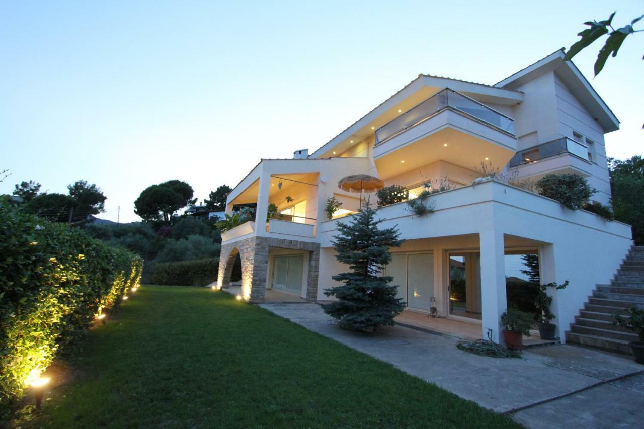 Aerides Luxury Villa PalaiónTsiflíkion 外观 照片